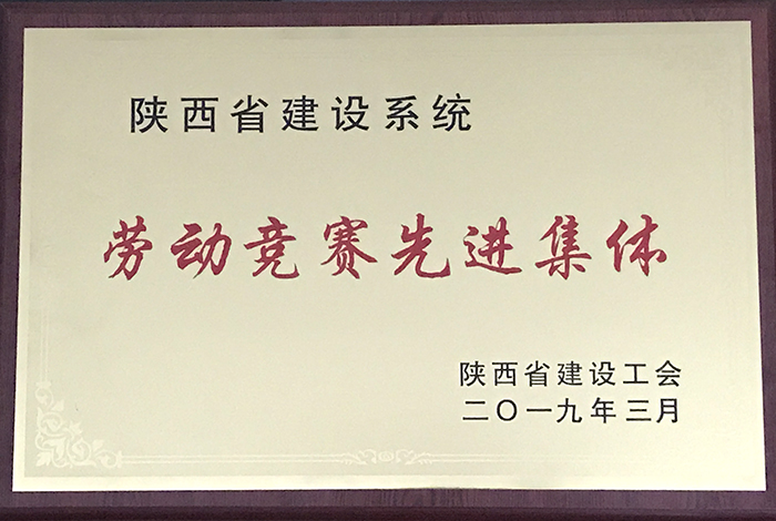  市城投公司被省建工會授予勞動競賽先進(jìn)集體榮譽(yù)稱號