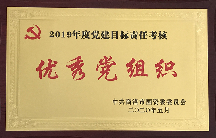 公司2019年黨建目標(biāo)責(zé)任考核獲上級(jí)表彰