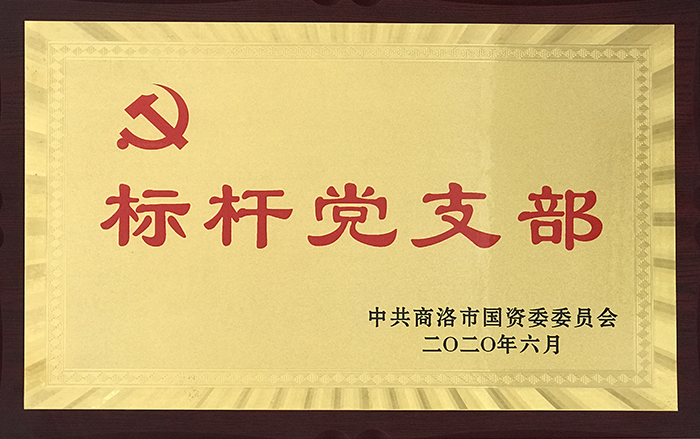 市城投公司第一黨支部榮獲市國資委黨委 “標(biāo)桿黨支部”稱號